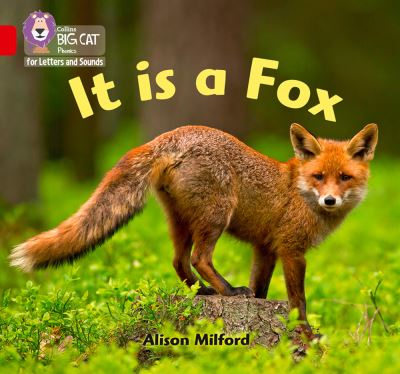 It is a fox It is a fox