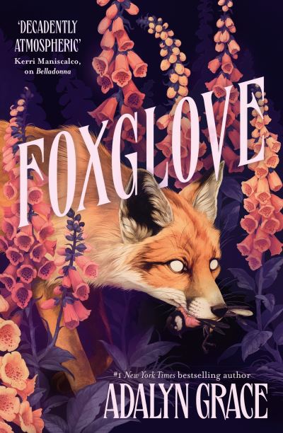 Foxglove Foxglove