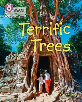 Terrific trees Terrific trees