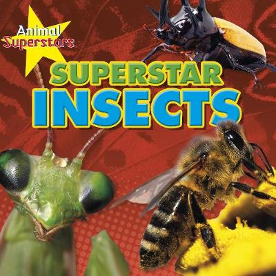 Superstar insects
