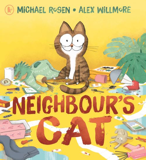 Neighbour's cat
