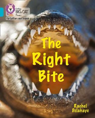 The Right Bite The Right Bite
