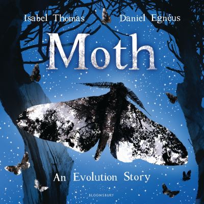 Moth Moth