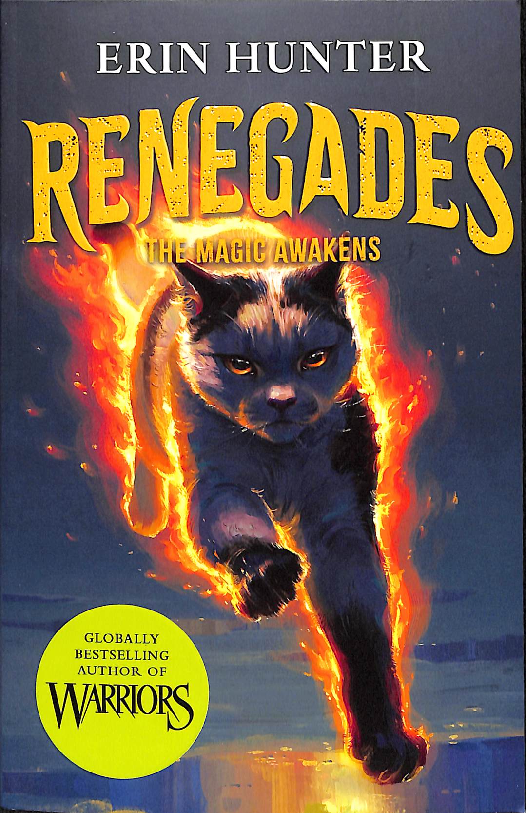 The magic awakens