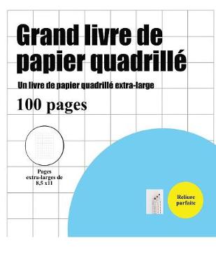 Grand Livre de Papier Quadrill (Un Pouce) by Bernard Patrick (9781789700831)