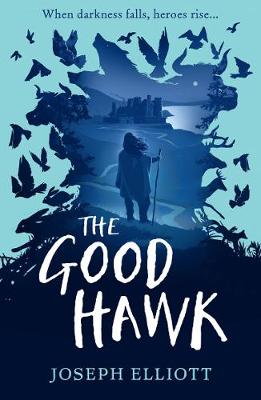 The good hawk  The good hawk