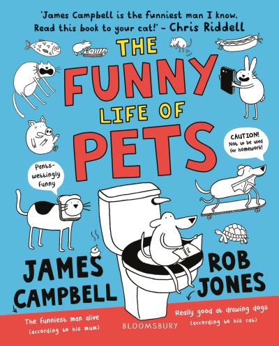 The funny life of pets The funny life of pets
