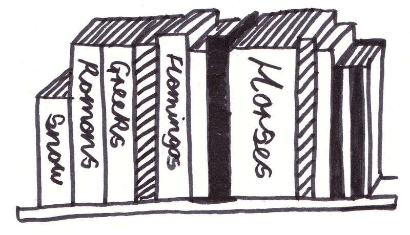 Rob Walton Footnotes - Bookshelf