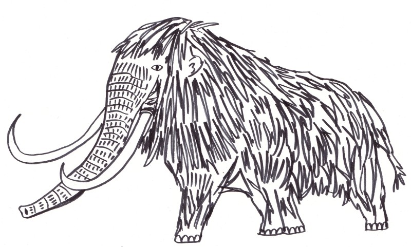 Rob Walton Footnotes Mammoth