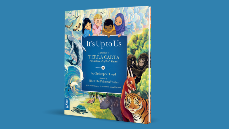 Inspiring KS1 non fiction books about climate change 