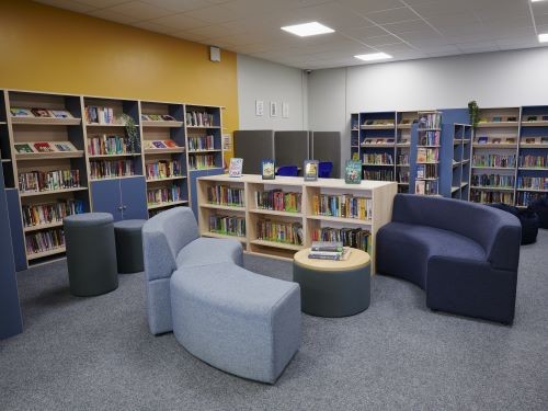 Secondary library design installation
