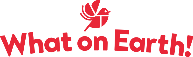 What on Earth at Love Literacy 2025