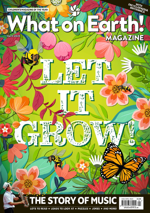 Children's magazine subscription for schools