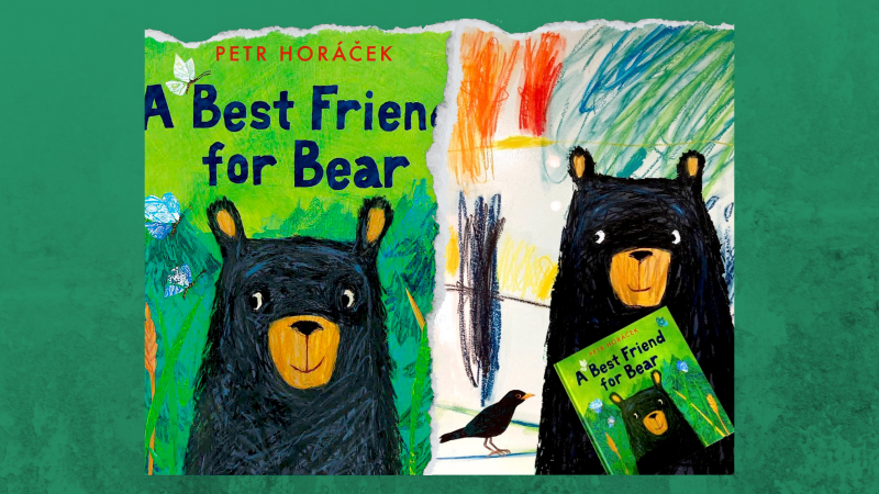 School picture book for KS1 beginner readers 