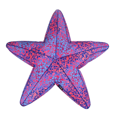 Starfish pillow beanbag